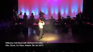 Kilfenora Ceili Band with Michael Donnellan  2013 New Year Concert [upl. by Oznerol893]