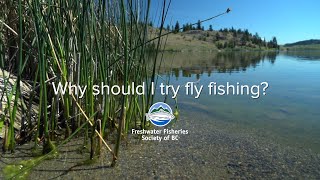 Fly Fishing FAQ Why should I try fly fishing  GoFishBC [upl. by Komara]