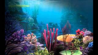 Insaniquarium OST  Aquarium Tank 1 [upl. by Metah]