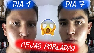 COMO HACER CRECER LAS CEJAS NATURALMENTE EN UNA SEMANA CON REMEDIO CASERO FACIL amp RAPIDO [upl. by Halika]