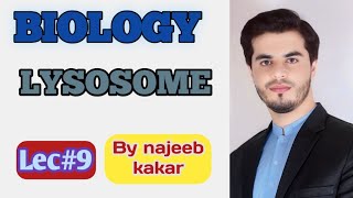 Lysosome  Types structure and function  class 9th biology  By najeeb kakar [upl. by Ekud]