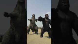 The monkey is dancing monkey animals motivation [upl. by Lyda]