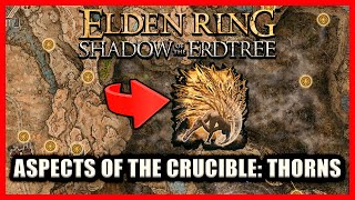 Aspects of the Crucible Thorns Location  Elden Ring Shadow of the Erdtree [upl. by Blayne]