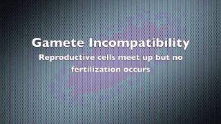 Pre and Post Zygotic Barriers [upl. by Eldon552]