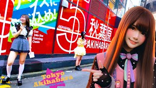 Tokyo Akihabara🐶Akihabara experience♪💖4K nonstop 1 hour [upl. by Alywt]