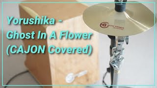 Yorushika  Ghost In A Flower Cajon Cover [upl. by Eneryc]