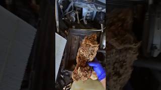 Air filter box Dodge Ram 1500 Hemi 57 L V8 hemi [upl. by Melone123]