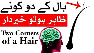 Baal K Do Kone Zahir Ho To Khabardar  Hair  Mehrban Ali  Mehrban TV [upl. by Trista]