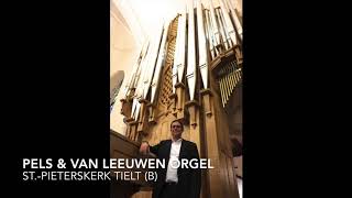 Tom Hoornaert Organ [upl. by Ynnatirb]