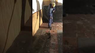 How To Scrape Asbestos Floor Tile The Bangers Way [upl. by Hepsoj]