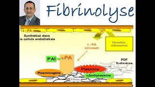 Fibrinolyse [upl. by Odille]