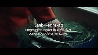 Bedriftsløftet  BankRegnskap [upl. by Azarria]