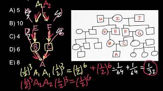 Simple Inbreeding Problem and Solution [upl. by Peppard]