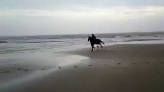 Coppet Hall Beach Ride [upl. by Esdnil]