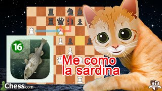 Mittens vs Stockfish 15 Locura de Ajedrez [upl. by Aniles]