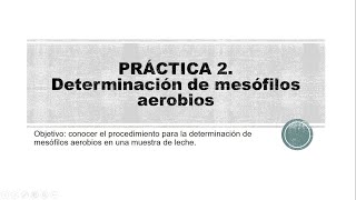 practica 2 Determinación de mesófilos aerobios [upl. by Uhn]