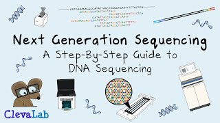 Next Generation Sequencing  A StepByStep Guide to DNA Sequencing [upl. by Geis57]