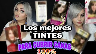 LOS MEJORES TINTES PARA CUBRIR CANAS AL 100 Lizzmuller [upl. by Serilda]