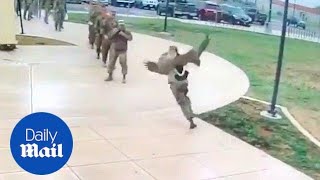 Goose attacks US soldiers in hilarious video  Daily Mail [upl. by Garris]