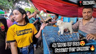 Cheapest Dog Market in India  Dog Price List 2024 [upl. by Aicilyt]