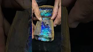 Looking Inside a 50 Pound Boulder Opal [upl. by Marteena446]