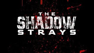 Echo Chamber  Film Reviews The Shadow Strays [upl. by Omsoc491]