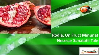 Rodia Un Fruct Minunat Necesar Sanatatii Tale Vivasan Vivasan Romania [upl. by Stagg]