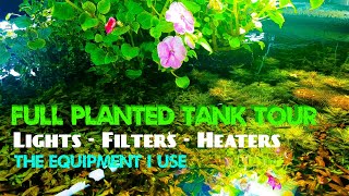 Full Planted Tank Tour [upl. by Abigale]