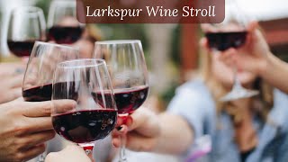 The Larkspur Wine Stroll [upl. by Carnes367]