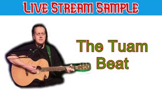 The Tuam Beat  Christy Moore Cover [upl. by Eintruoc]