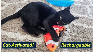 Potaroma Flopping Fish Cat Toy  Panther Approved [upl. by Surovy]