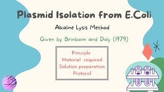 Plasmid isolation from E coli [upl. by Dnaletak]