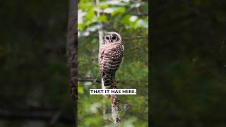 Explore Acadia Maine with Matt and OMSYSTEMCameras [upl. by Nyladnek]