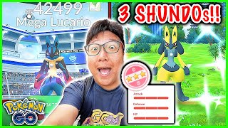 3 SHUNDO Lucario Caught on Mega Lucario Raid Day in Toronto Canada  Pokemon GO [upl. by Anilys]