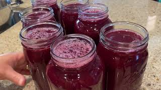 HOW TO MAKE CONCORD GRAPE JUICE  “BESTEVER”  WATER BATH CANNING  “OLDSCHOOL” TECHNIQUE [upl. by Javed800]