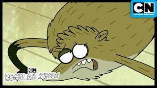 Skunked  The Regular Show  Season 2  Cartoon Network [upl. by Homerus491]