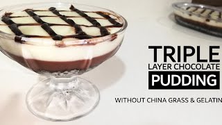 Triple Layer Chocolate Pudding Without China grass amp Gelatin Dessert Recipe MalayalamImanZ World [upl. by Aloap188]