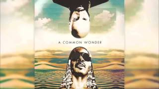 Common amp Stevie Wonder  A Common Wonder  Amerigo Gazaway Full Album [upl. by Sucramraj377]