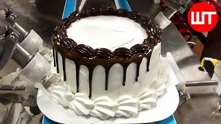 How Cake Is Made In Factory  Automatic Cake Making Machine [upl. by Aikar427]