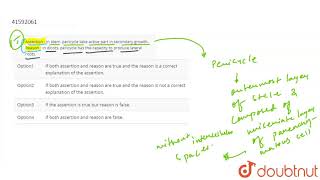 Assertion  In stem pericycle take active part in secondary growth Reason  In dicots pericycle [upl. by Heller]