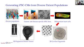 Stem Cells amp Genomics From Precision Medicine to Clinical Trial in a Dish [upl. by Mahsih799]