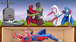 What If 10 SPIDERMAN in 1 HOUSE  SPIDER MAN RED Rest In Peace by Fat Spider TV [upl. by Olecram]