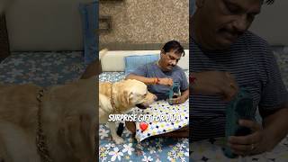 New Phone For Papa❤️ minivlog ytshortsindia ytshorts doglover familyvlog labradorlovers [upl. by Haronid]