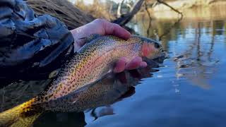 Lost Sierra Fly Guide  Middle Fork Feather River Fly Fishing [upl. by Orferd]