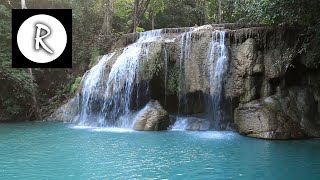 8 Hours Rainforest Sounds Nature amp Forest Birds for Relaxation Spa amp massage rooms [upl. by Girvin836]