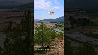 Calasparra rice designation of origin in MURCIA🇪🇸SPAIN murcia WATCH THE FULL VIDEO spain [upl. by Filberto65]