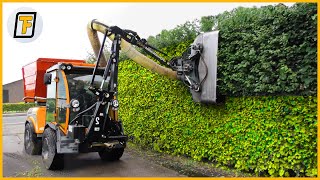 OVERGROWN HEDGES getting cut SMOOTHLY   Satisfying Hedge Trimming and Grass Cutting Machines [upl. by Yrroc10]