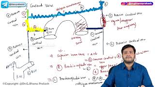 23 Venous Development amp Anomalies Part 2  Embryology [upl. by Airrehs663]