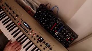 TMTQ  Behringer Model D  Bass Test moog Old School Funk  HQ Audio [upl. by Airdnassac]