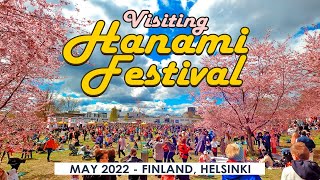 Helsinki Walk 花見 Hanami Festival in Roihuvuori May 15th 2022 Finland 4K [upl. by Ahsinert721]